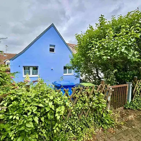 Apartment Beautiful In Alzey